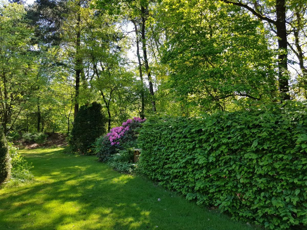 Knusse Bungalow Otterlo Veluwe Esterno foto