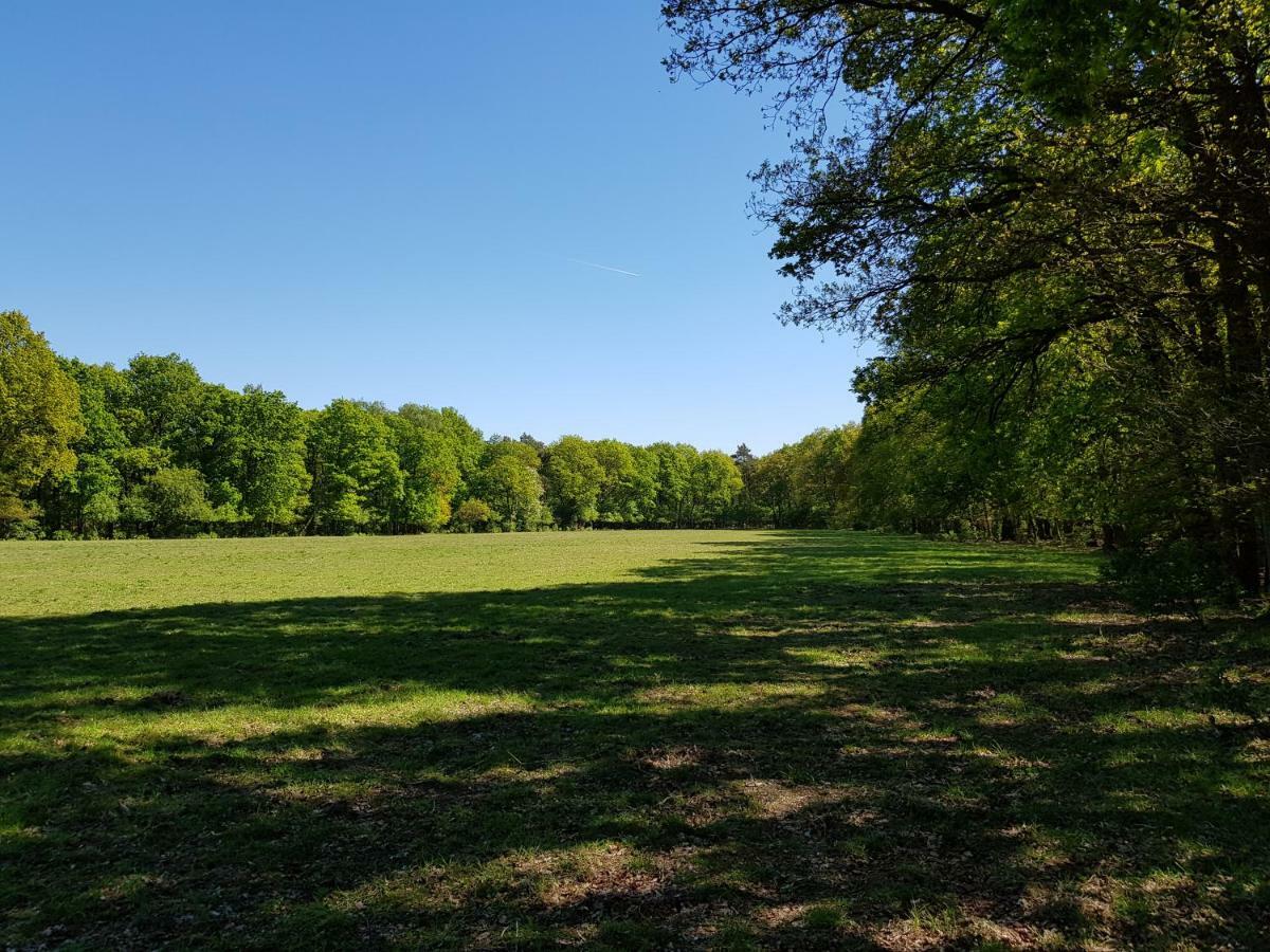 Knusse Bungalow Otterlo Veluwe Esterno foto