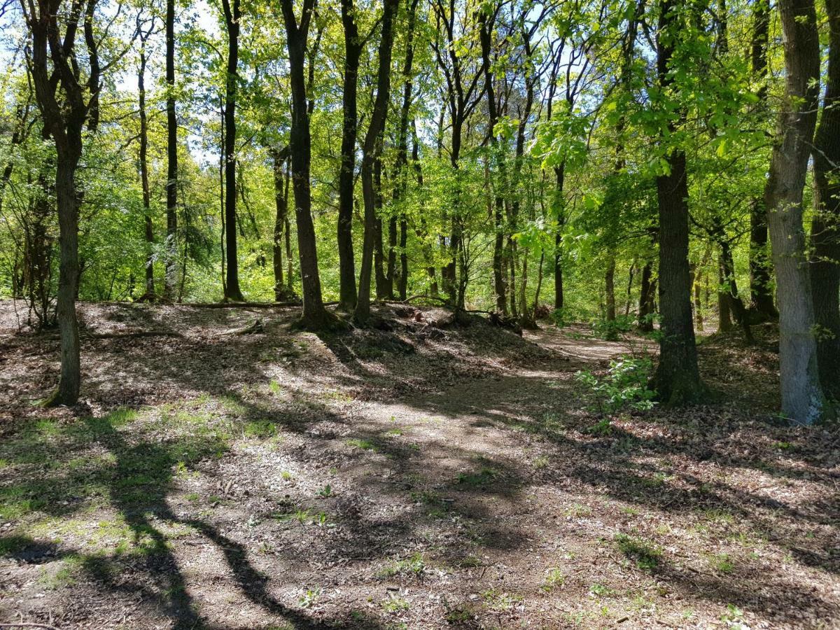 Knusse Bungalow Otterlo Veluwe Esterno foto